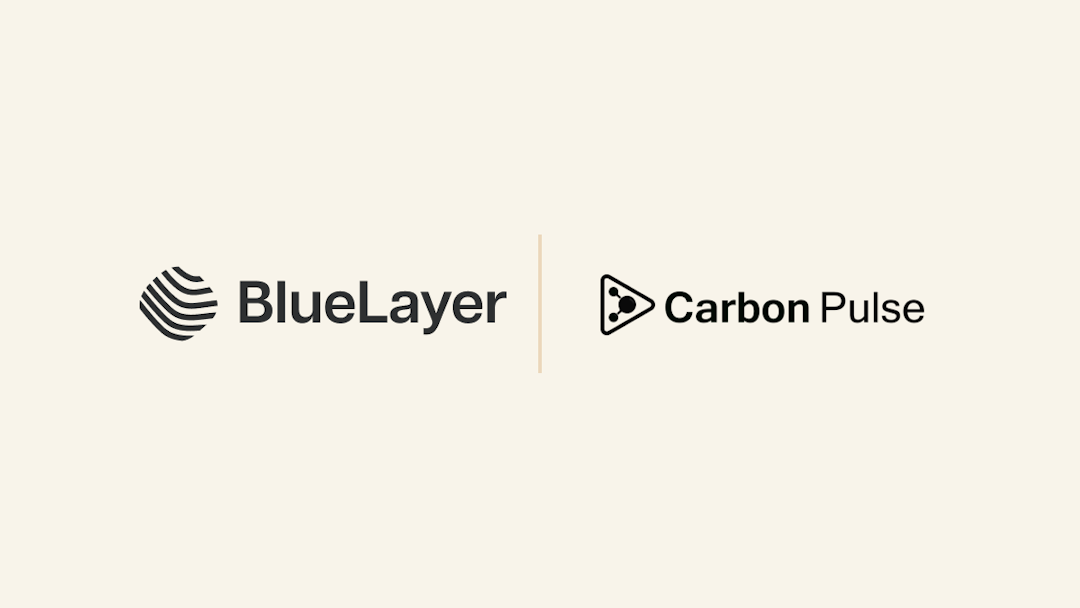 BlueLayer featured in CarbonPulse 