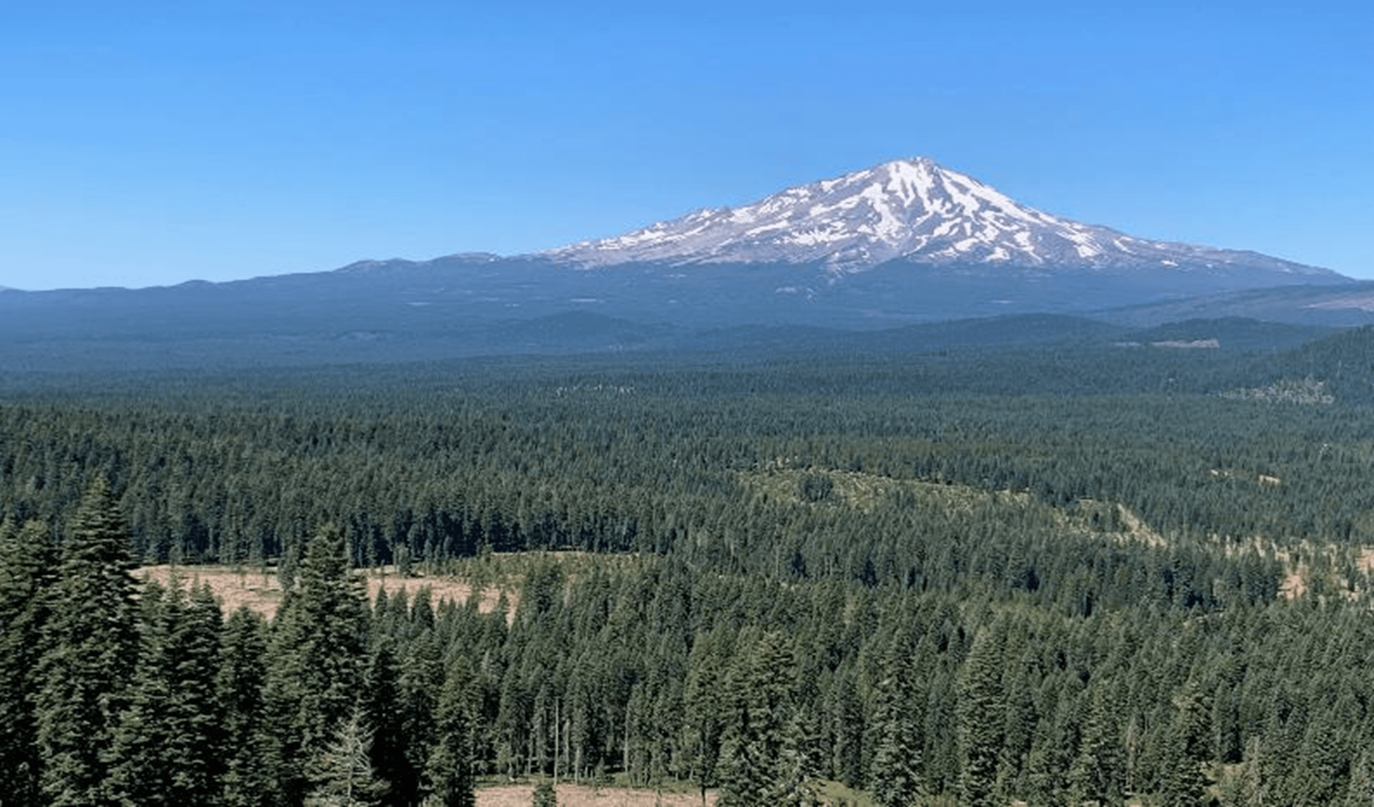 Image 2: View of the McCloud Forest carbon project with northern California’s Mount Shasta (USA) in the background.