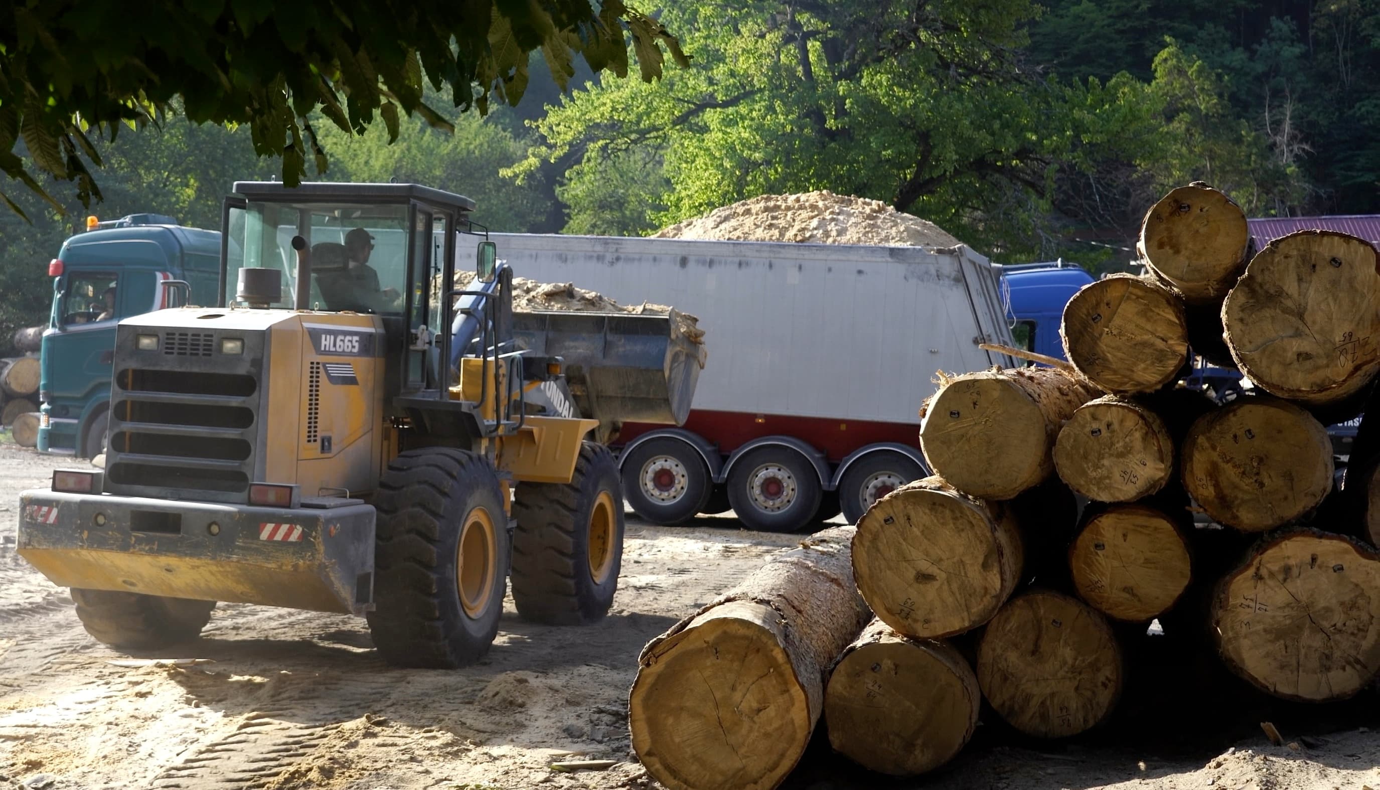 Picture 3. Biomass supply at DMS Georgia site (photo courtesy of Rewind)