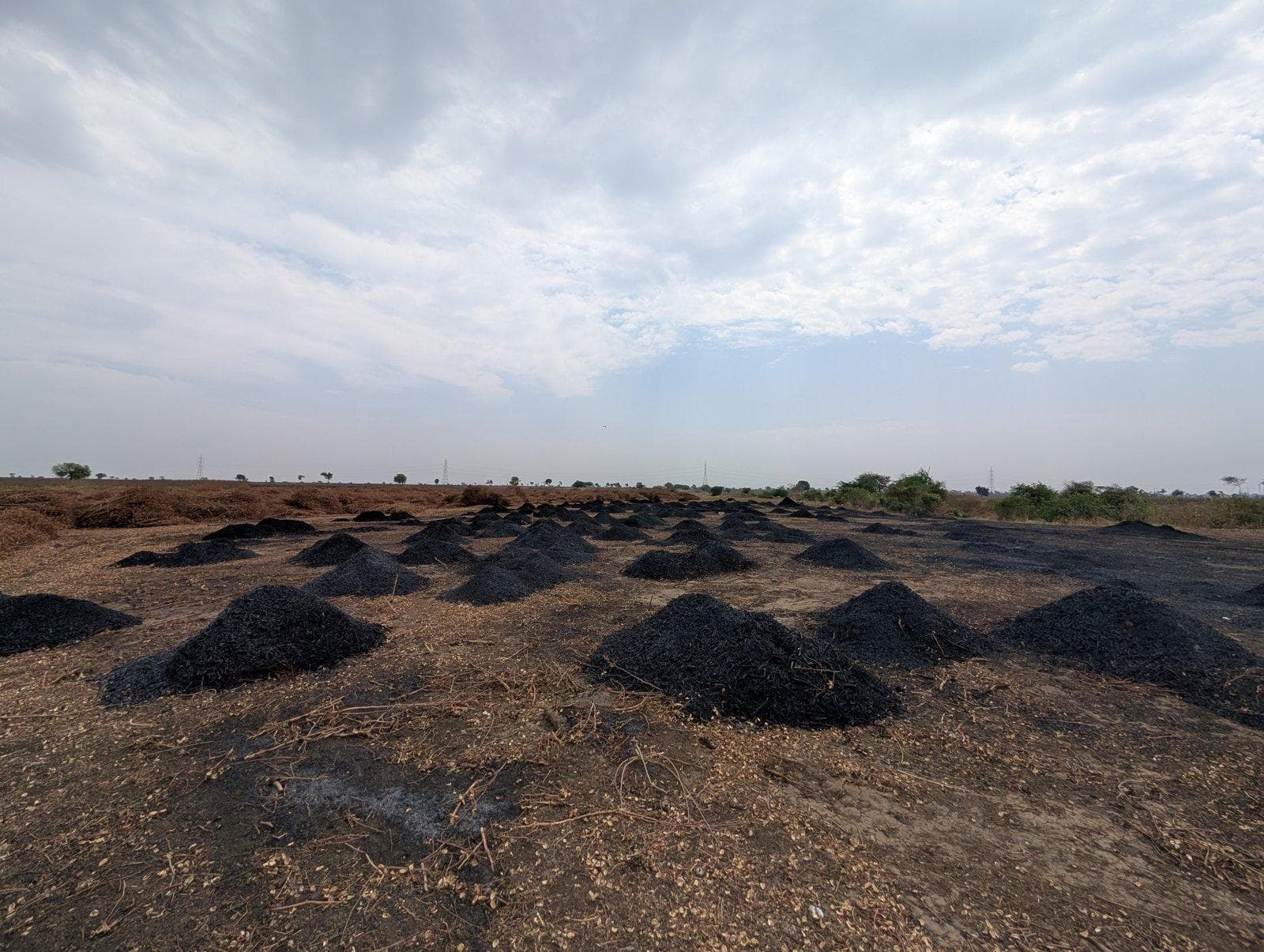 Picture 3. Biochar curing at a production site in Maharasthra (photo courtesy of KriSHE Carbon)