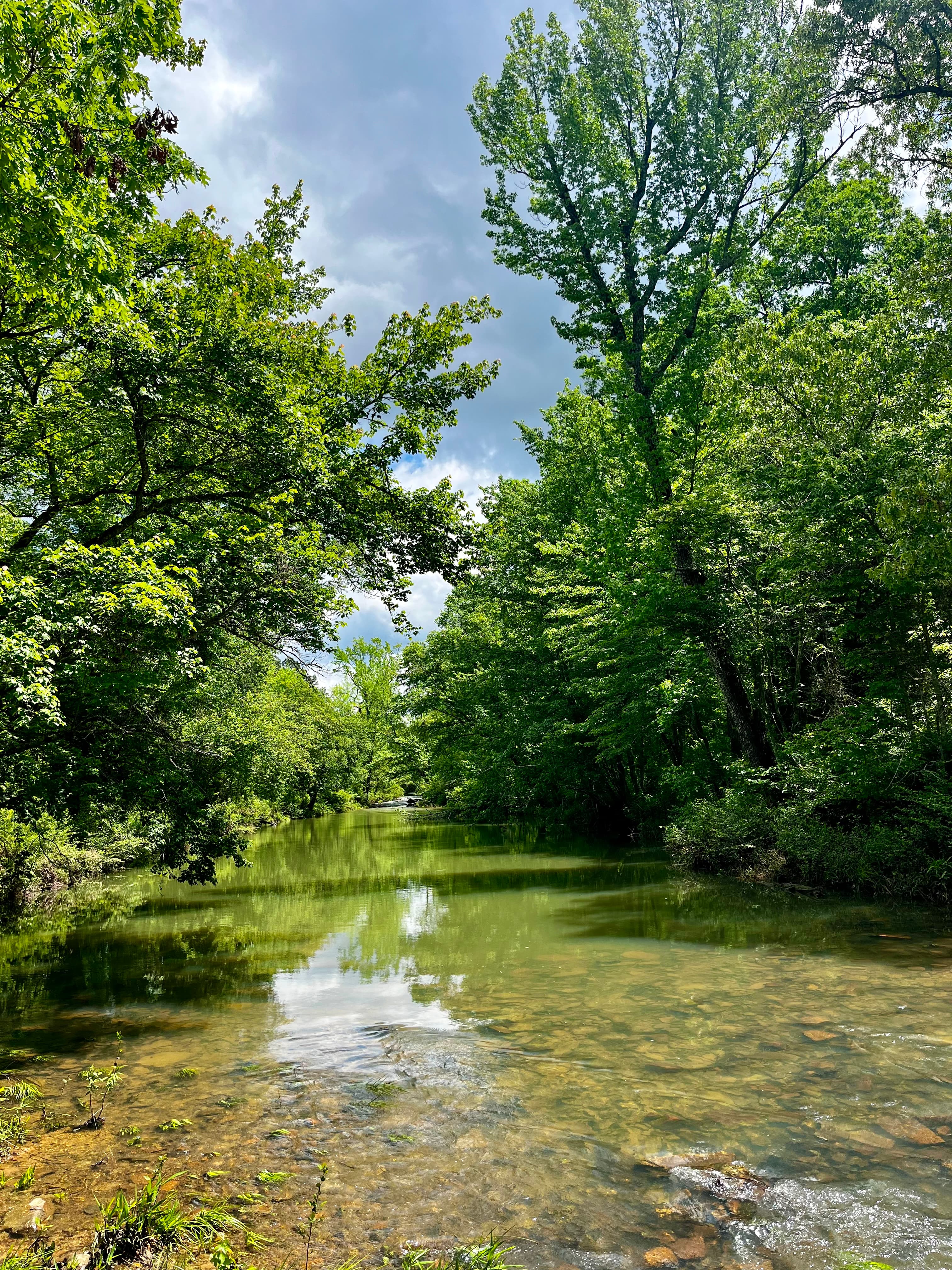 Image 3: Forested creek on a recent timberland investment made by New Forests in Oklahoma, USA.