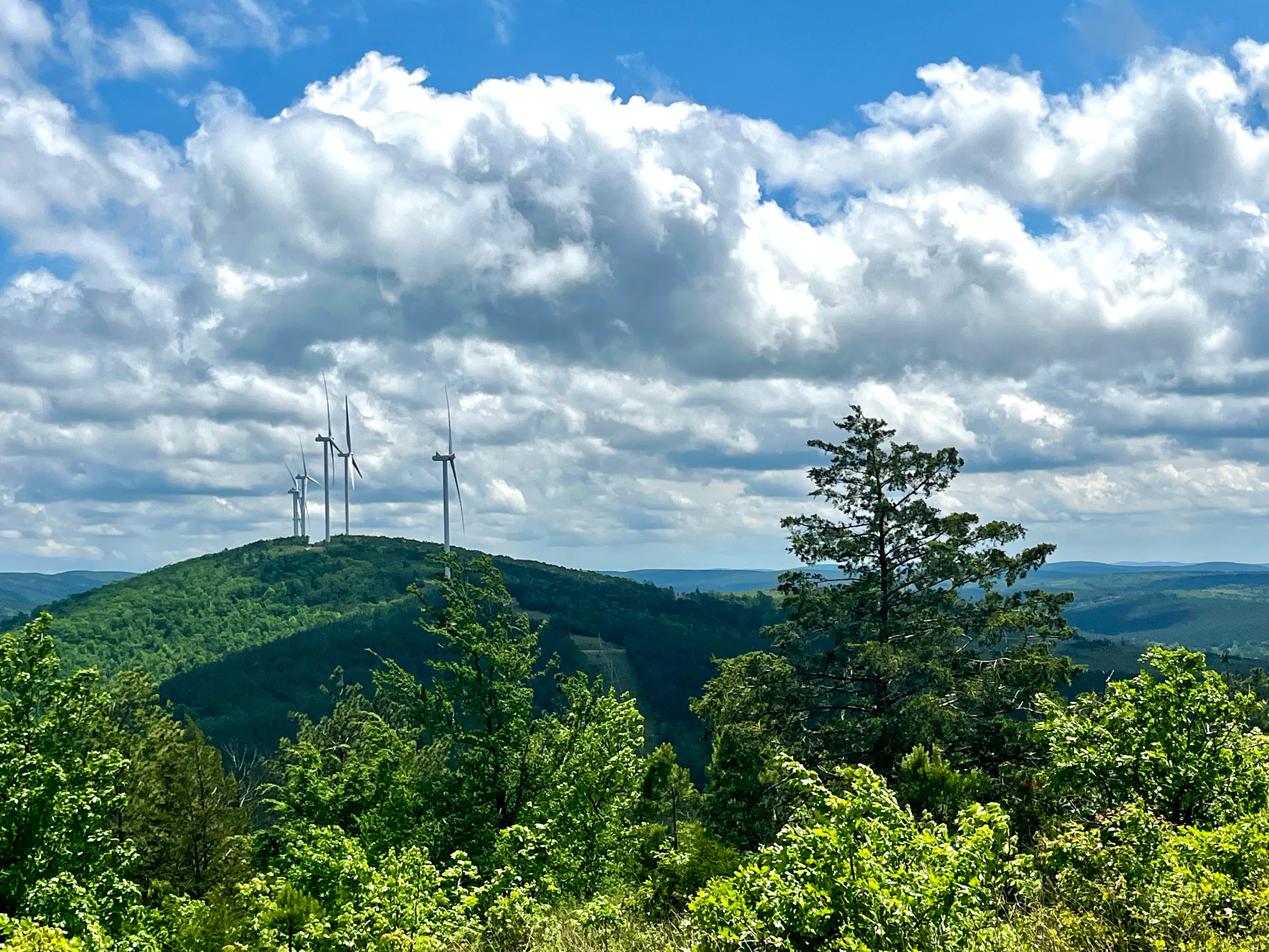 Image 1: Renewable energy is produced by a wind farm on New Forests’ timberland investment in Oklahoma, USA.