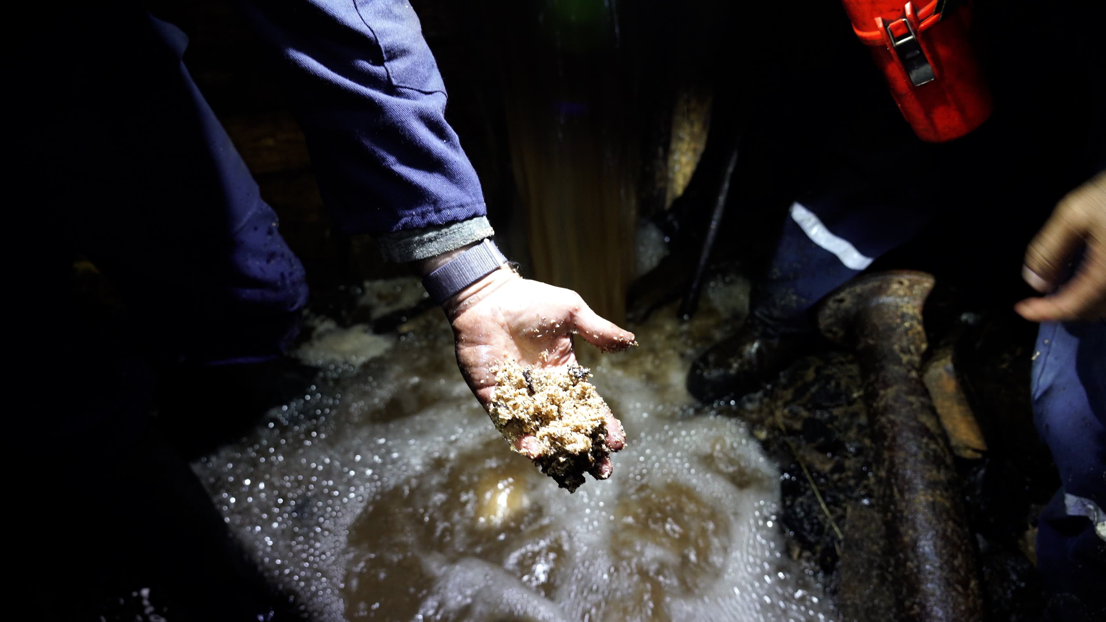 Picture 1. DMS Georgia site (photo courtesy of Rewind)